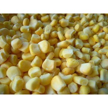 Frozen Sweet Corn